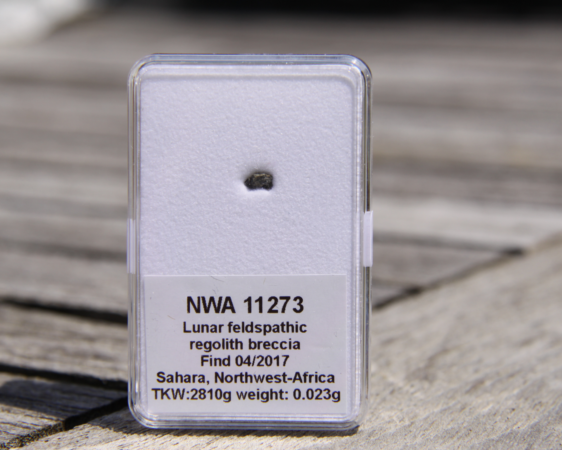 Nwa 11273