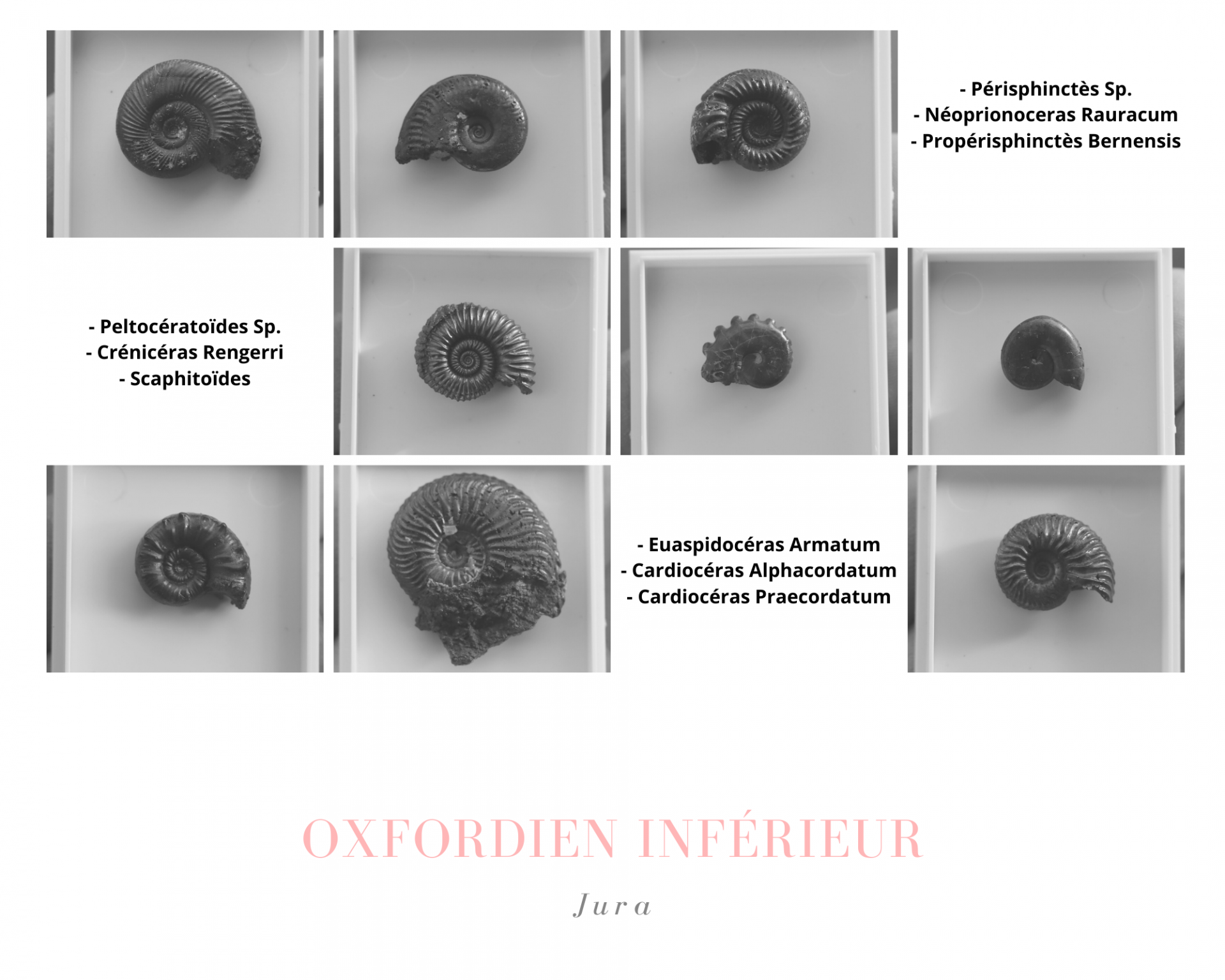 Oxfordien inferieur