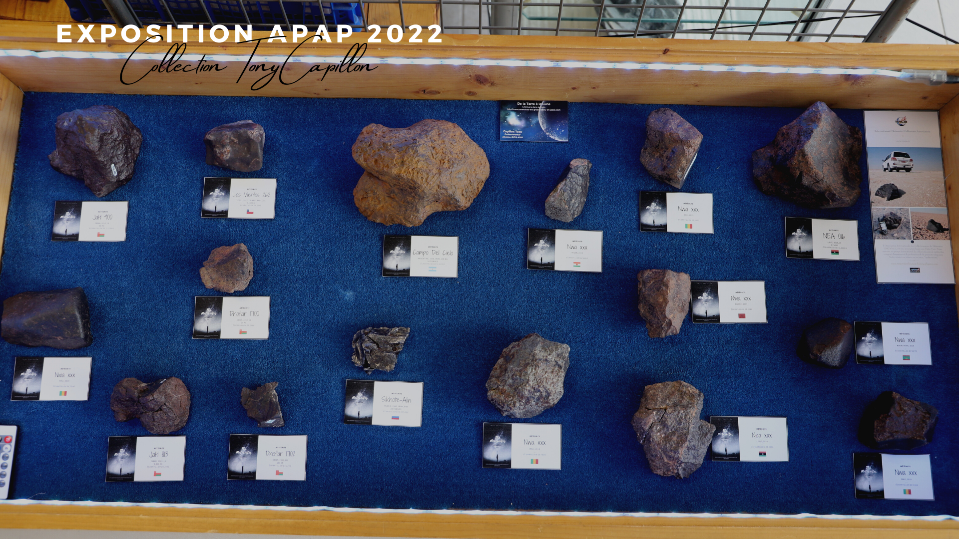 Exposition apap 2022