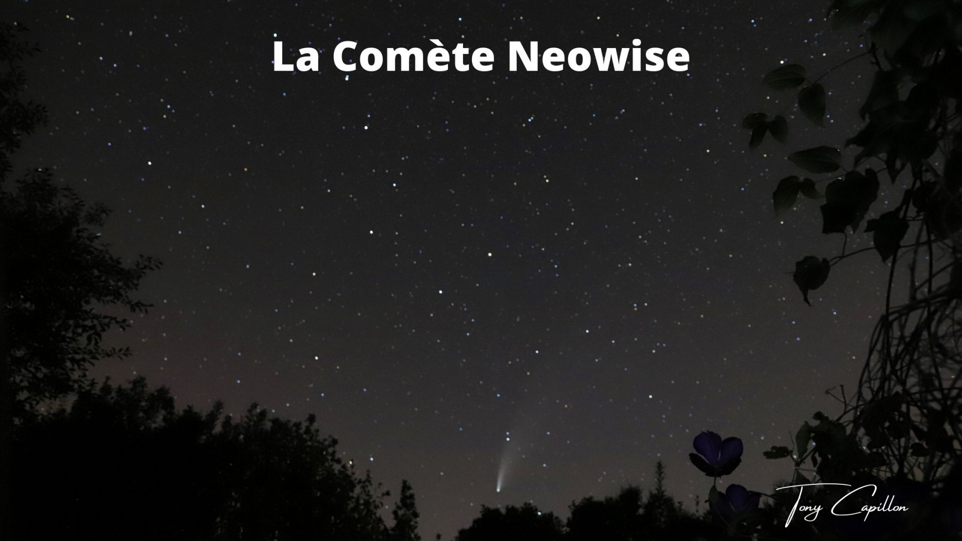 Comète Neowise 