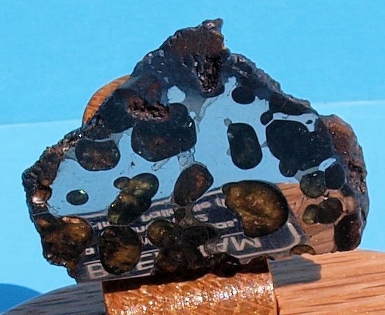 Pallasite brenham 1